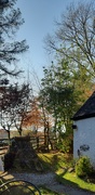 25th Apr 2021 - cuil cottage