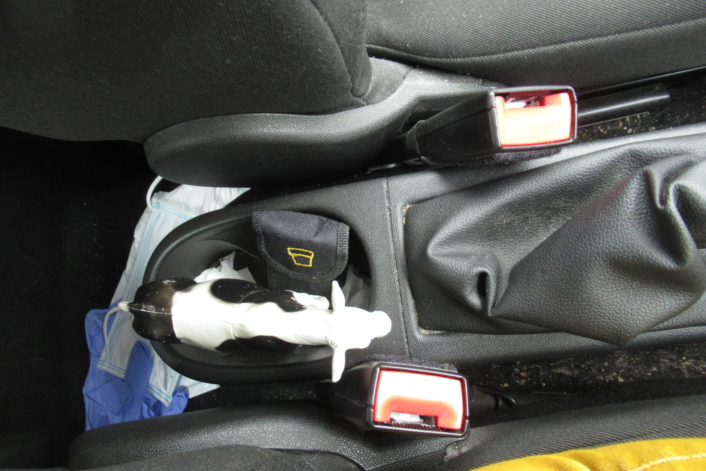 they fitted a cow-holder in my car! by anniesue