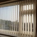 New blinds by jennymdennis