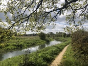 26th Apr 2021 - Morning walk along the river