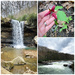 Ohiopyle State Park by janetb