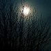 April Supermoon by julienne1