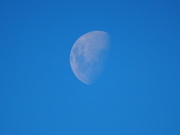 27th Apr 2021 - A rising moon 4.30pm on 22nd 