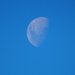 A rising moon 4.30pm on 22nd  by Dawn
