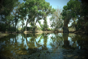 26th Apr 2021 - Sonoran Pond