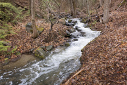 24th Apr 2021 - The creek on the Louie Joe Trail