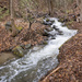 The creek on the Louie Joe Trail by kiwichick