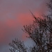 Красивое закатное небо.  by nyngamynga