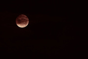 27th Apr 2021 - the Pink Moon