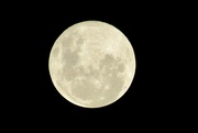 27th Apr 2021 - Tonight’s full moon. 