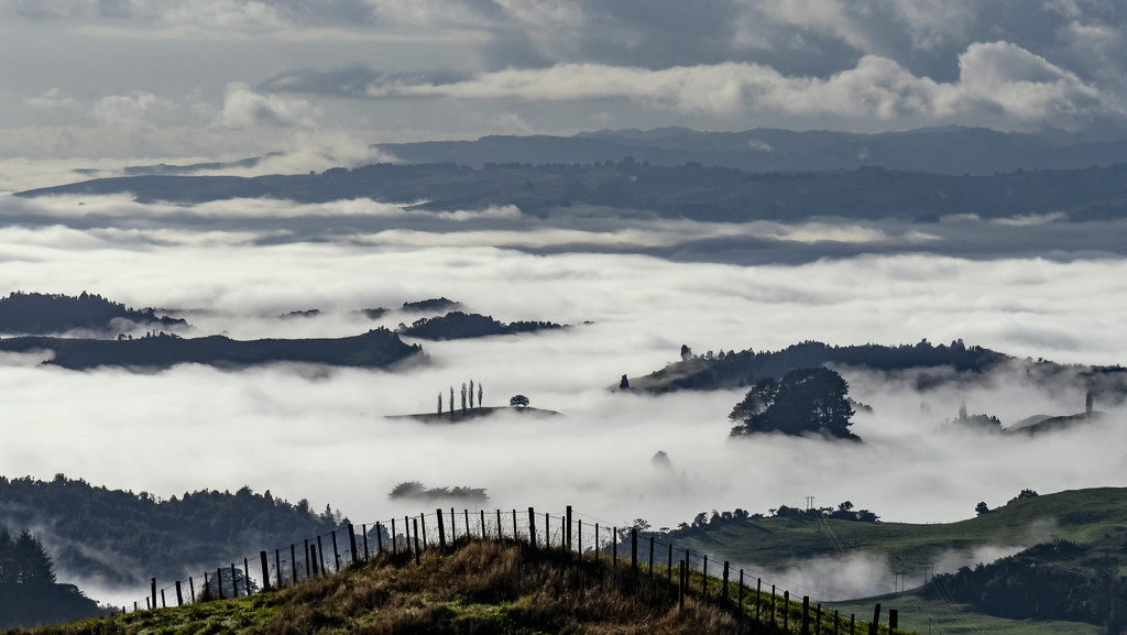 Fog in the Valley by nickspicsnz