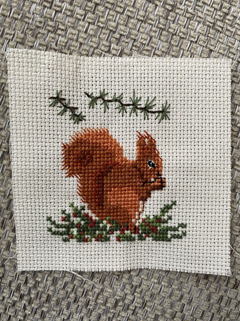 Squirrel Cross Stitch by gillian1912