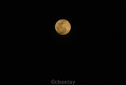 27th Apr 2021 - Shoot for the moon