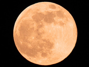 26th Apr 2021 - Pink Moon