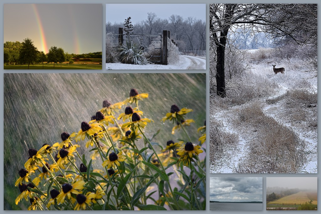 Weather Collage By Kim 365 Project
