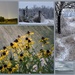 Weather Collage by genealogygenie
