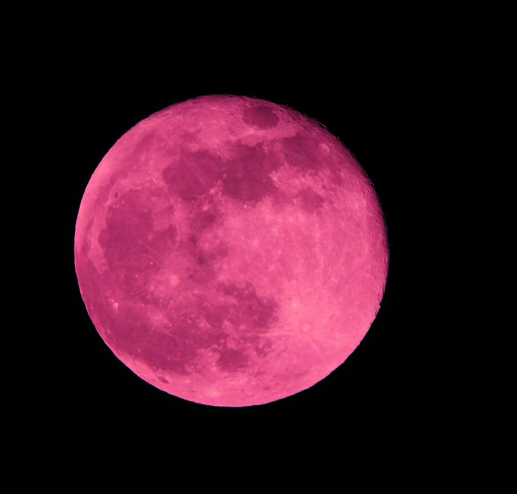 Pink moon by homeschoolmom