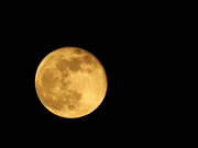 27th Apr 2021 - Silly moon. You're supposed to be pink!