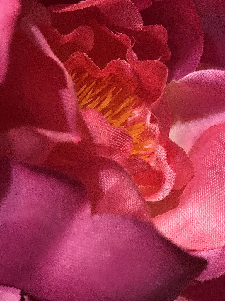 Pink artificial flowers by homeschoolmom