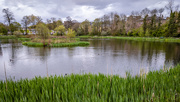 28th Apr 2021 - Bingham's Pond