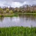 Bingham's Pond by iqscotland