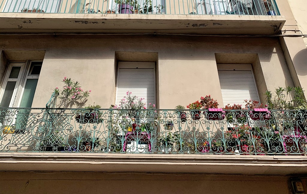 Hearts and flowers on the balcony.  by cocobella