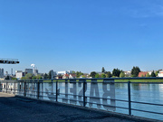 30th Apr 2021 - Walk by the Rhine river. 