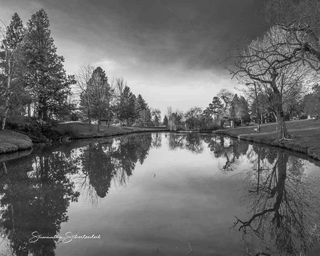 Black and white reflections by sschertenleib
