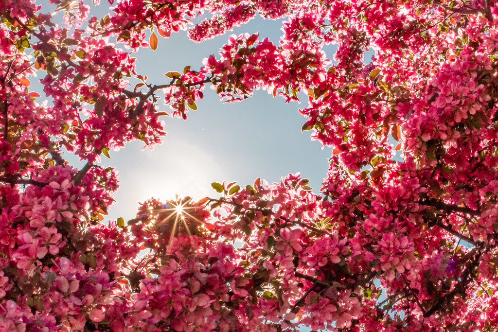 Beautiful Spring Day by tina_mac