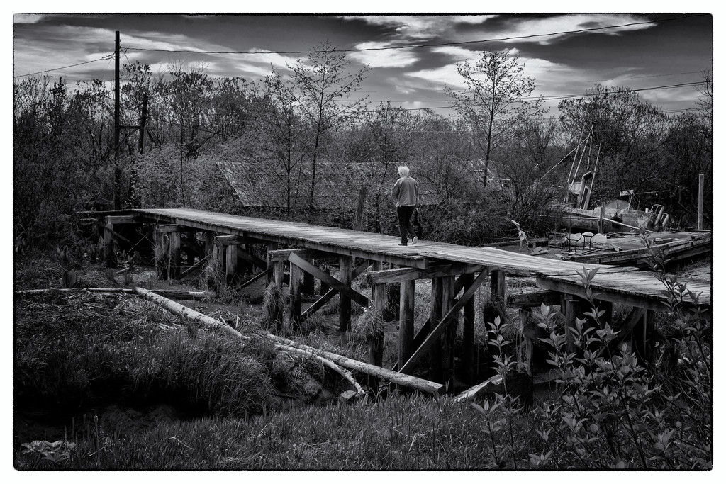 Bridge Over Muddy Water by cdcook48