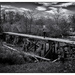 Bridge Over Muddy Water by cdcook48