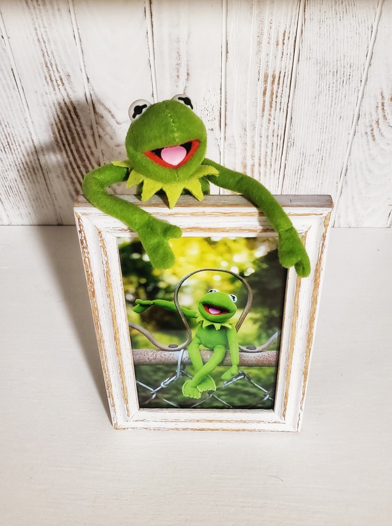 Kermit x 2 by edorreandresen