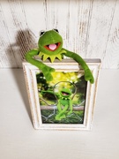 28th Apr 2021 - Kermit x 2
