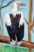 29th Apr 2021 - Vulture (painting)
