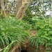 Mr and Mrs badger sett by 365projectorgjoworboys
