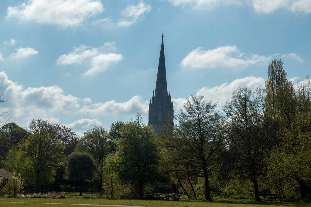 Salisbury cathedral.... by susie1205