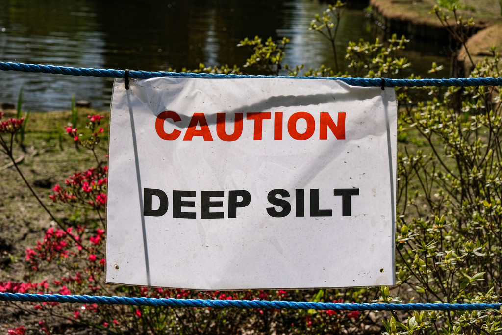 Deep Silt by 365nick