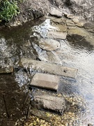 29th Apr 2021 - Stepping Stones