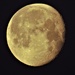 Super Pink Full Moon by radiogirl