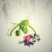 Kermit 4 by edorreandresen