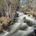 Flowing down the Creek by radiogirl