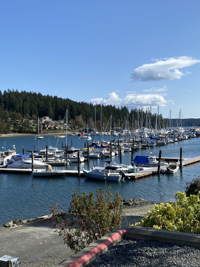 Eastsound Harbor, Orcas Island by clay88