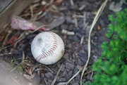 29th Apr 2021 - Baseball
