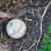 Baseball by acolyte