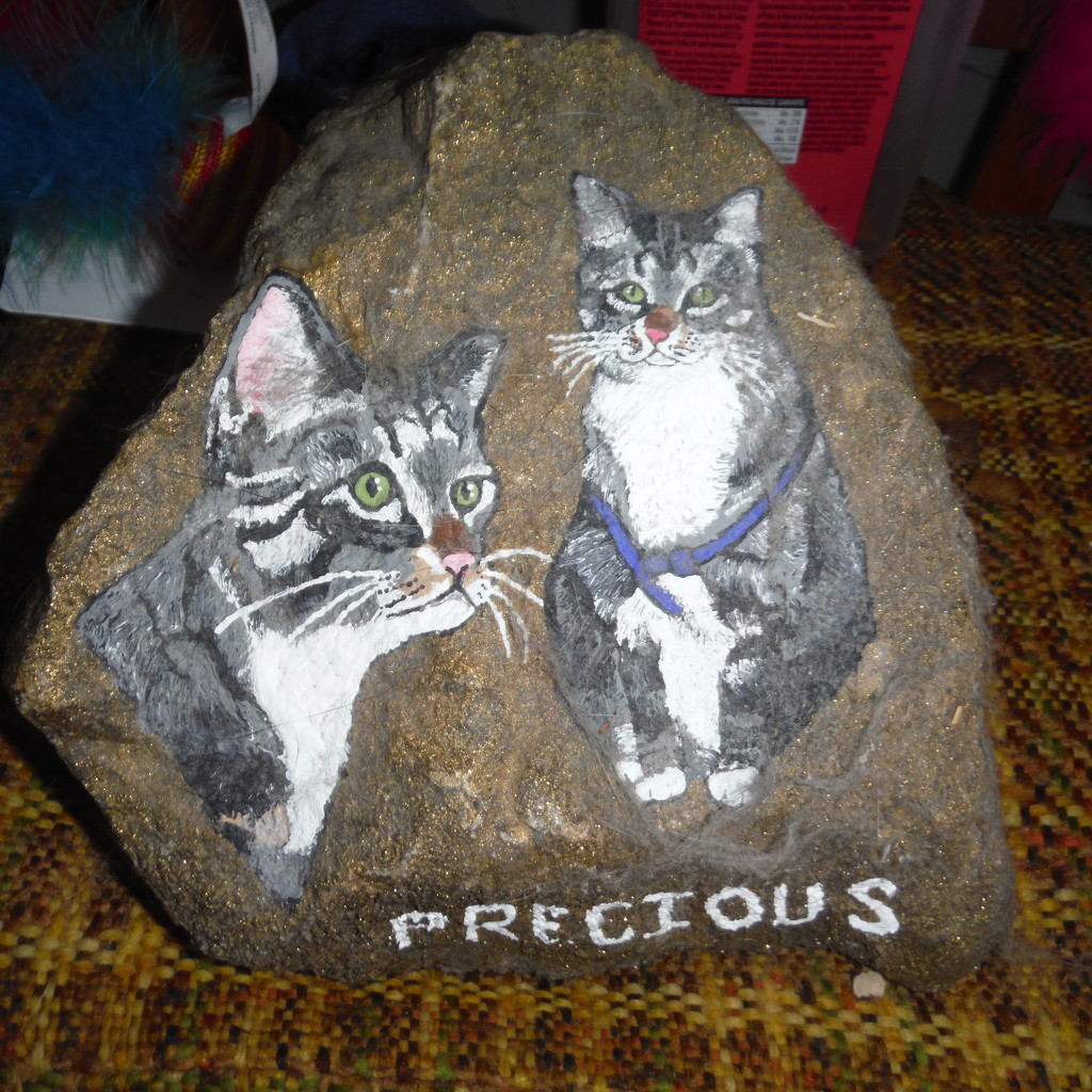 Rocks #1: Precious! by spanishliz