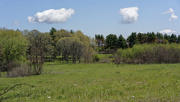 30th Apr 2021 - treeline landscape