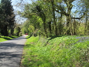 22nd Apr 2021 - Old road from Warwick