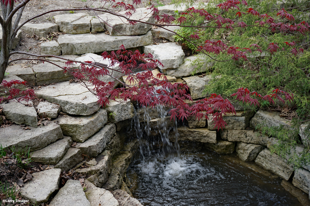 Water feature botanical garden by larrysphotos