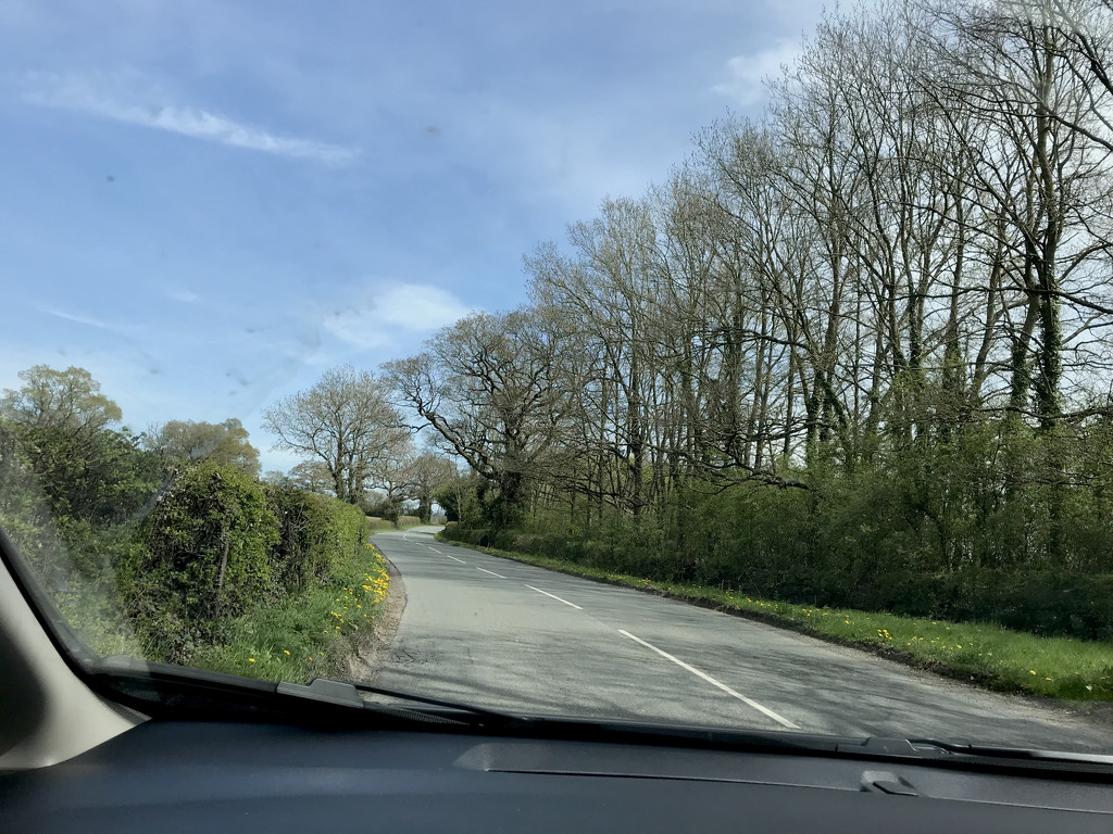Road Trip by daffodill