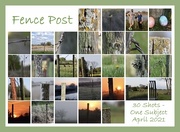 30th Apr 2021 - 30 Shots, One Subject Collage - 2021